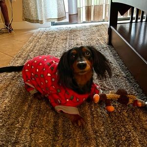 Meet your Posher, Robert